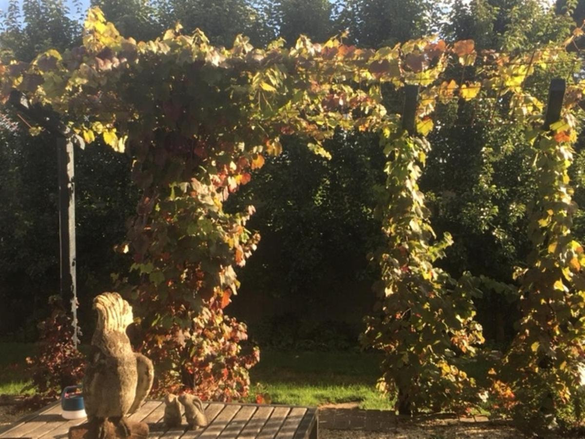 Bed and Breakfast A'Meadow Trentham Экстерьер фото